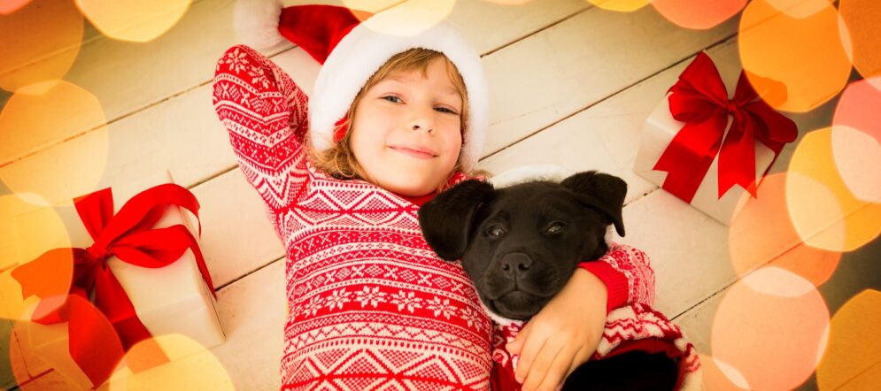 Geschenkidee Tier Hund Katze Geschenkidee Tier Hund Katze